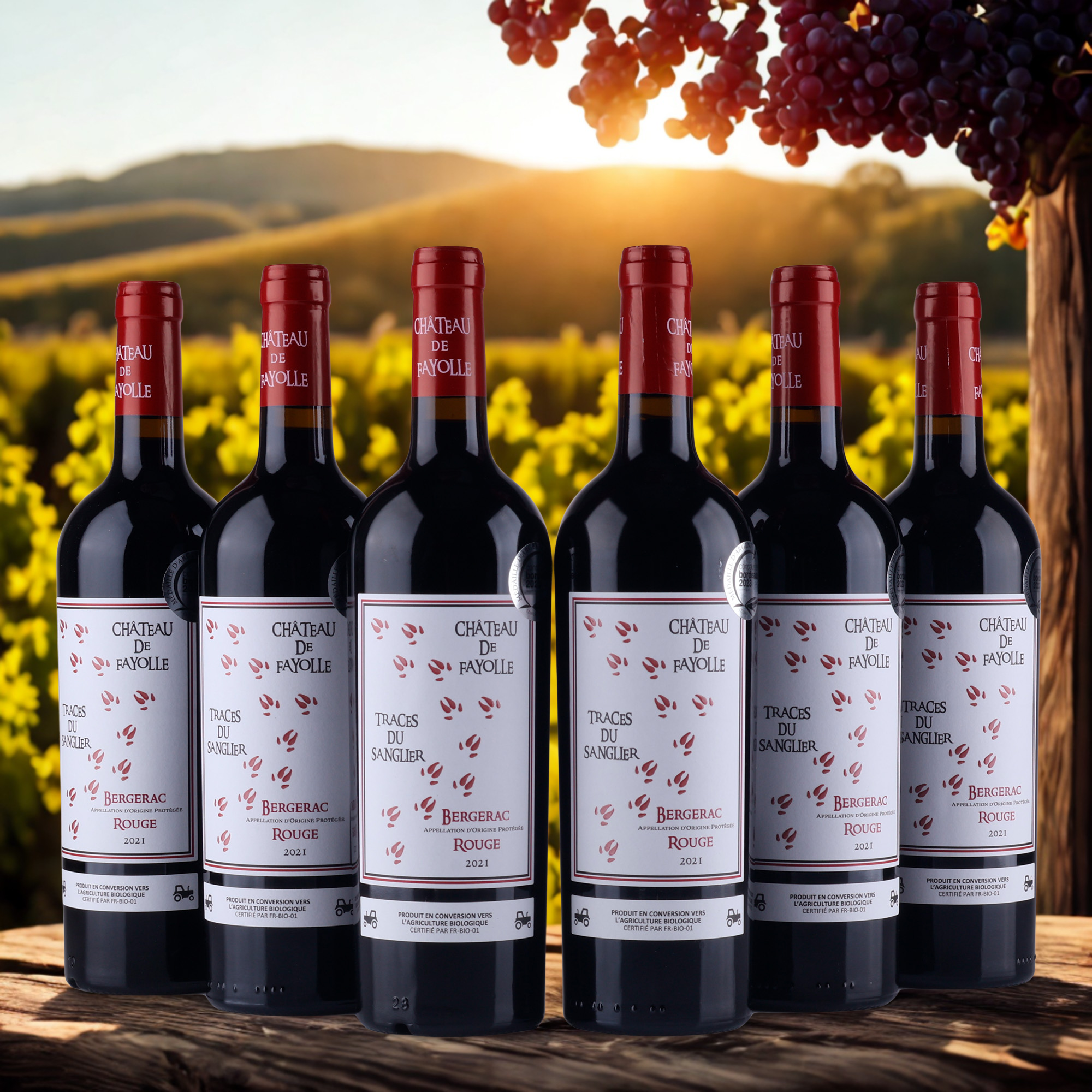 Cháteau de Fayolle Traces Du Sanglier - Bergerac - 2021