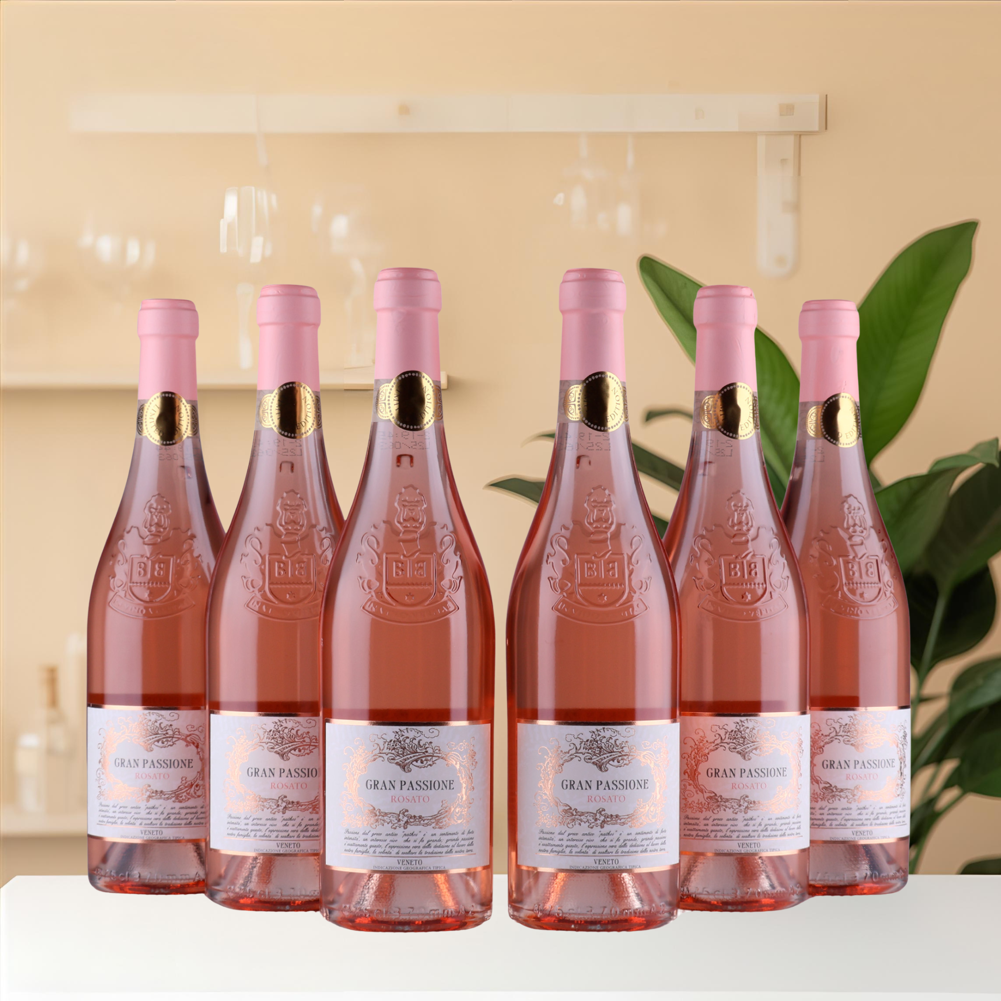 Gran Passione - Rosso veneto - 2023