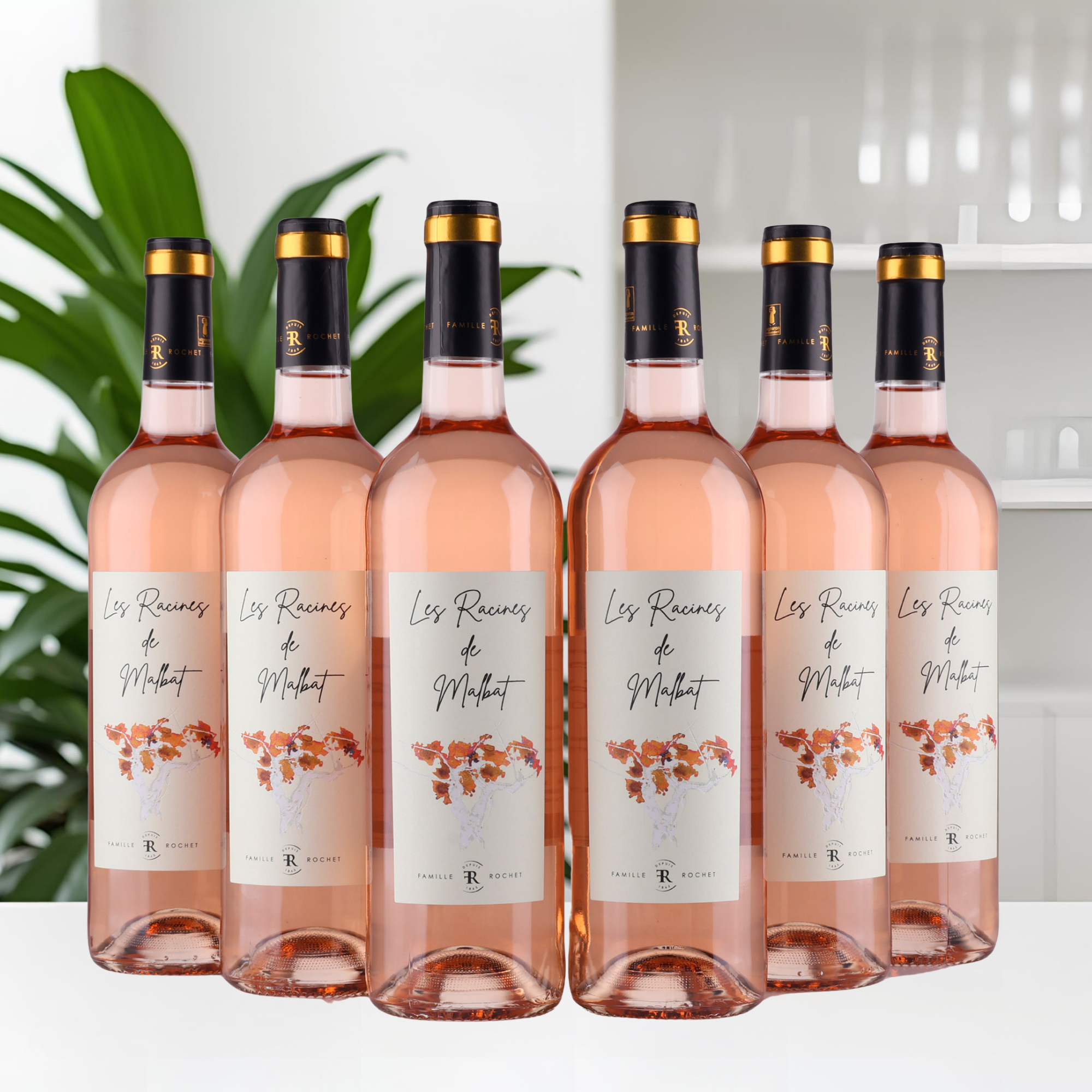 Les Racines De Malbat - 2023