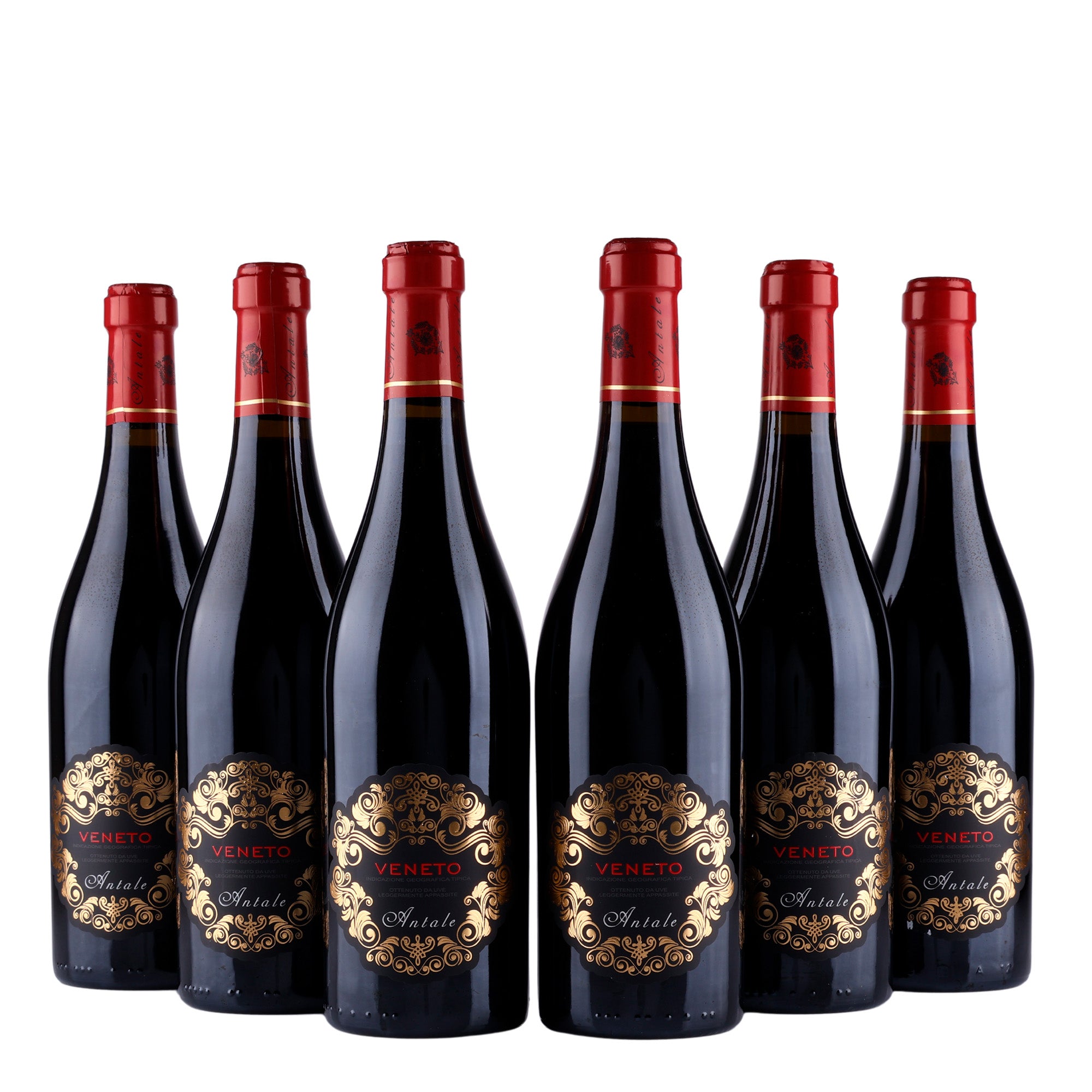 Rosso Veneto Appasimento IGT - 2023