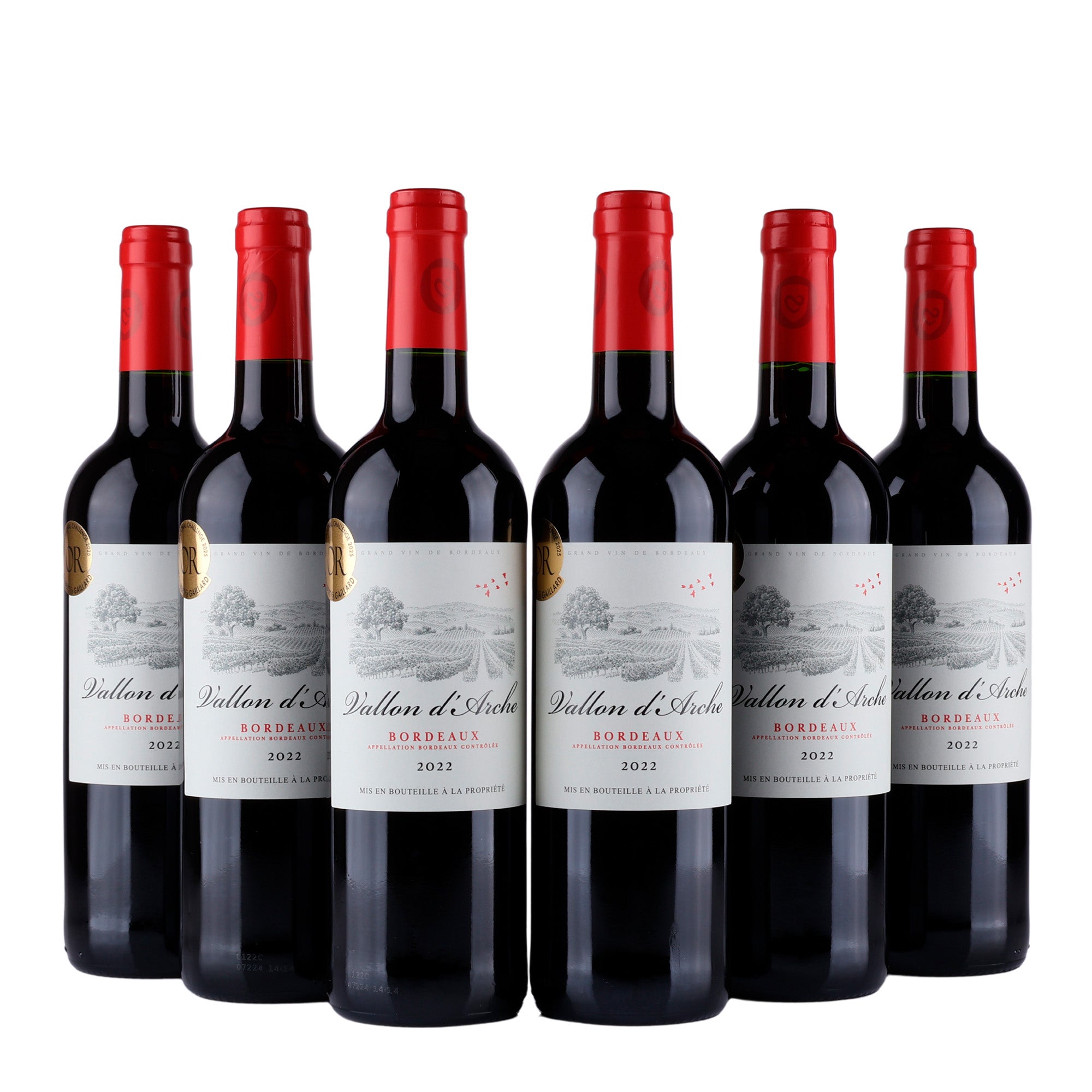 Vallon d'Arche - 2022