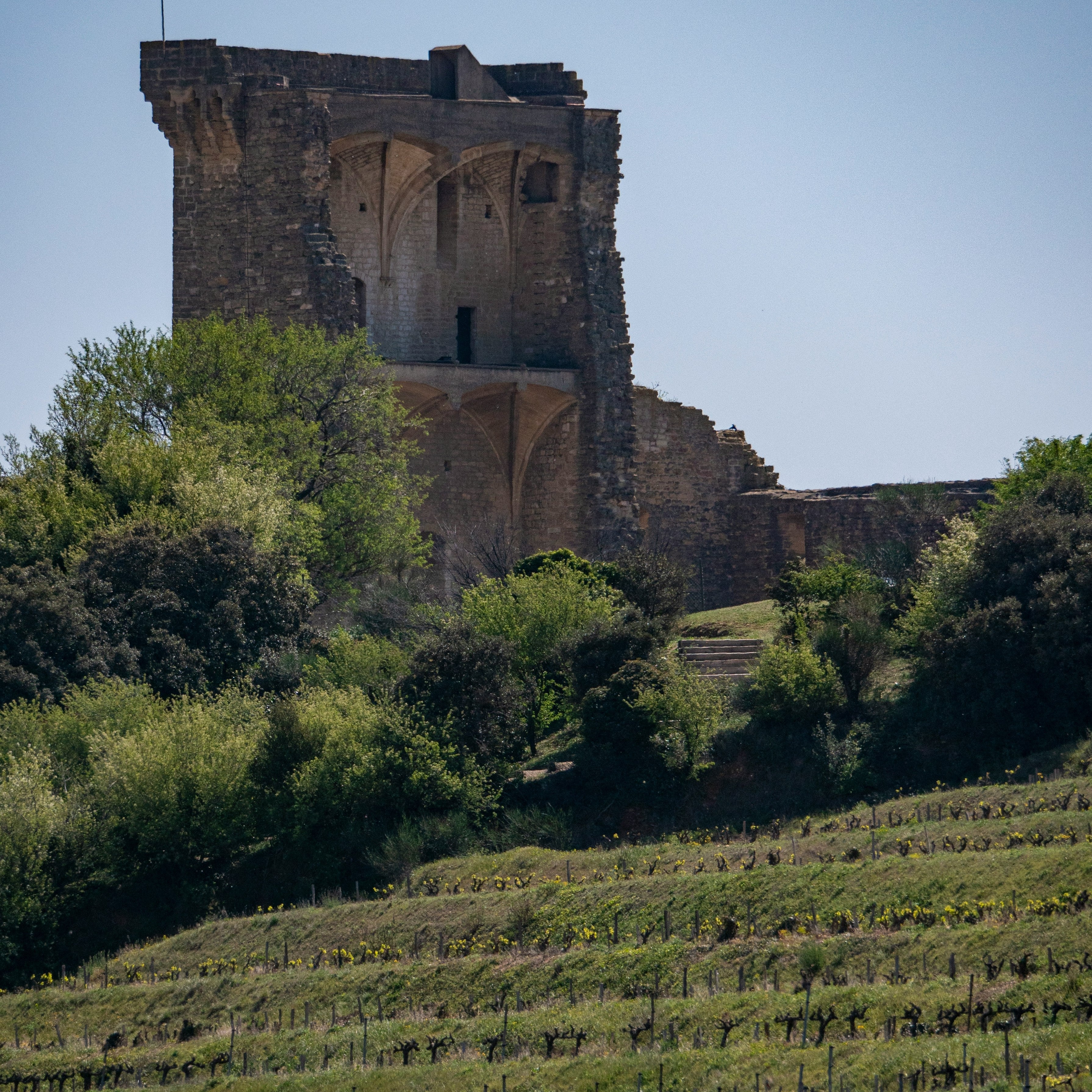 Châteauneuf-du-Pape