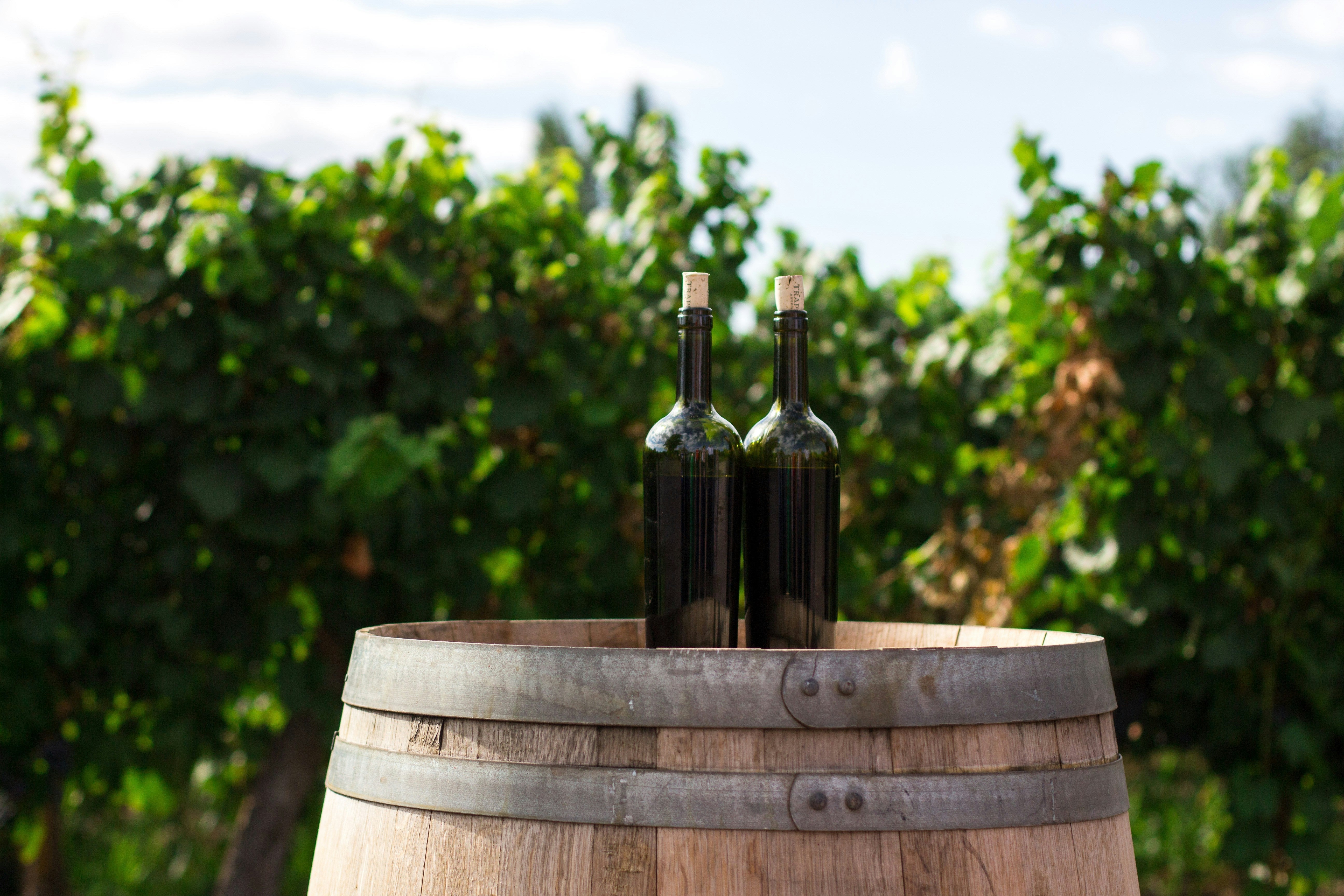 Spanska druvor: Guide till druvor och regioner i spansk vin
