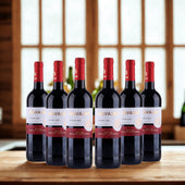 Bild i bildspel