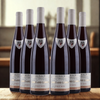 Edouard Leiber - Pinot Noir - Tradition - 2024