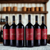 Pronto - Zinfandel - Magnum 1,5Ltr - 2023