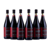 Passionato Puglia - Rosso Passito - 2024
