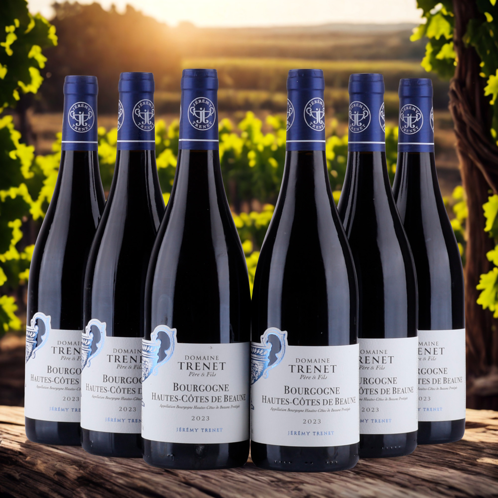 Domaine Trenet - Bourgogne - Hautes-Côtes de Beaune - 2023