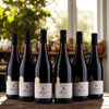 Cellier des Princes - IGP Vaucluse Merlot - Les Vignes du Prince - 2022