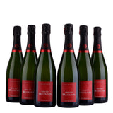 Vincent  Delouvin - Champagne - Pur Meunier