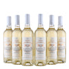 Château Mont-Saint-Pey - Bordeaux Blanc - 2023