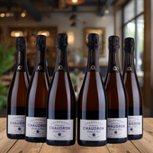 Bild i bildspel