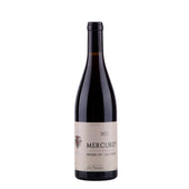 Bild i bildspel