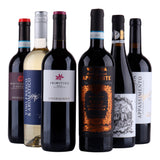 Introduktion till italienska viner – upptäck Primitivo och mer 🍷