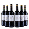 Les Anges de Malbat - Bordeaux - franskt rött vin - 2021