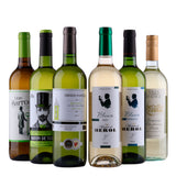 Lyxig vinlåda med vitt vin 