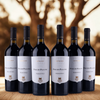 Poggio Pasano - Primitivo Puglia IGP Cantina Sava - 2023