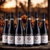 Ricossa Barolo D.O.C.G - 2020
