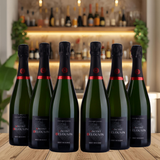 Vincent Delouvin - Champagne - Brut Reserve