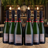 Vincent Delouvin - Champagne - Nature - 12%