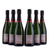 Vincent Delouvin - Champagne - Nature - 12%
