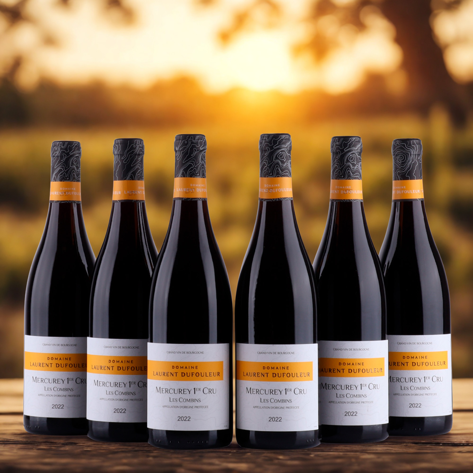 Laurent Dufouleur - Mercurey Cru - Les Combins - 2022