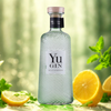 Yu Gin - 43%