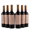 Primitivo - Susumaniello - Pronto - Puglia IGT - 2025 - 13,5%