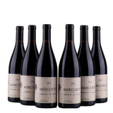 Mercurey - Premier Cru - Les Combins - Jean Dupasquier - 2021
