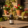 Gran Passione prosecco Doc Extra dry - 11%