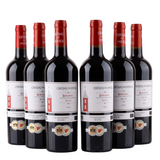 Cháteau de Fayolle - Bergerac - Ekologisk - 2022 - 14%